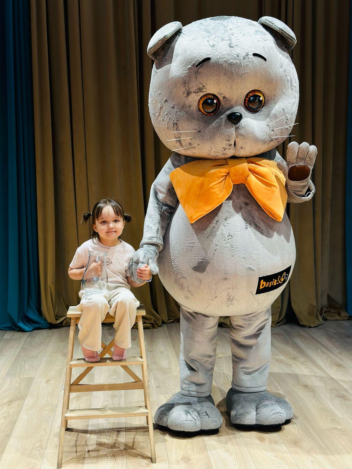 Кот Басик